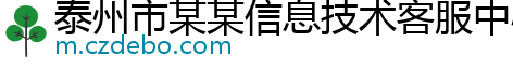 泰州市某某信息技术客服中心